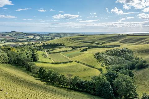 undefined, Litton Cheney, Dorchester, Dorset