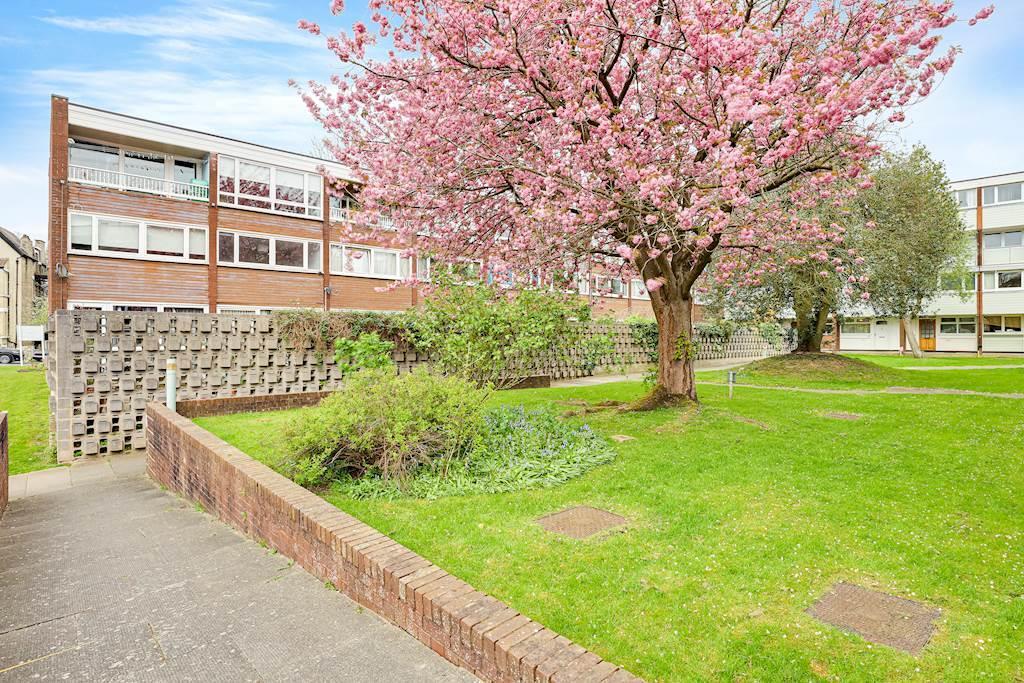 Garden view, garden