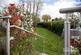 Additional image 15 of Lillybrook Estate, Lyneham, Chippenham