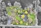 Additional image 5 of Lockley Wood, Market Drayton, TF9