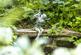 Additional image 77 of Tanygroes, Nr Aberporth, Cardigan