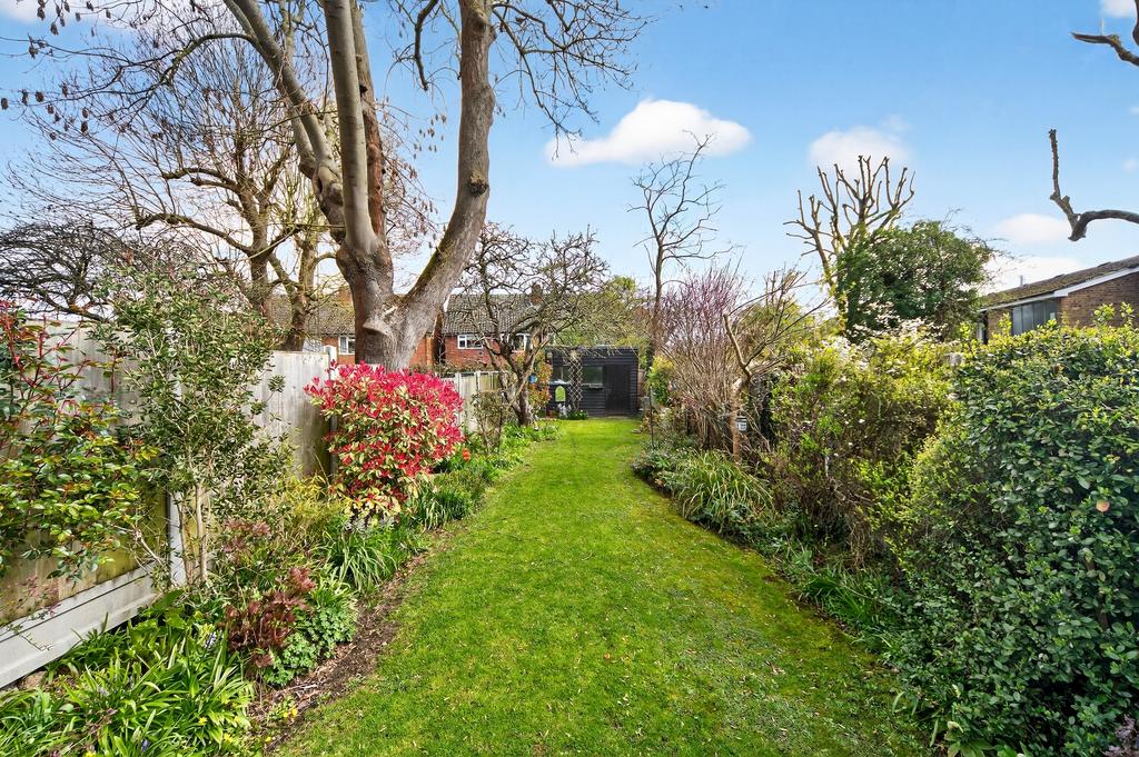 Mature Garden