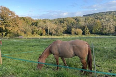 3 bedroom equestrian property for sale, Ashwater, Beaworthy, Devon, EX21