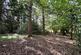 Additional image 15 of Wormley, Godalming