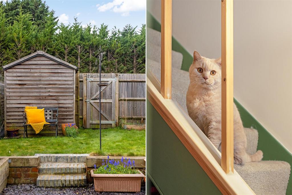 Garden view, garden