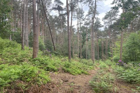 Land for sale, Crooksbury Woodland, Crooksbury Road, Tilford