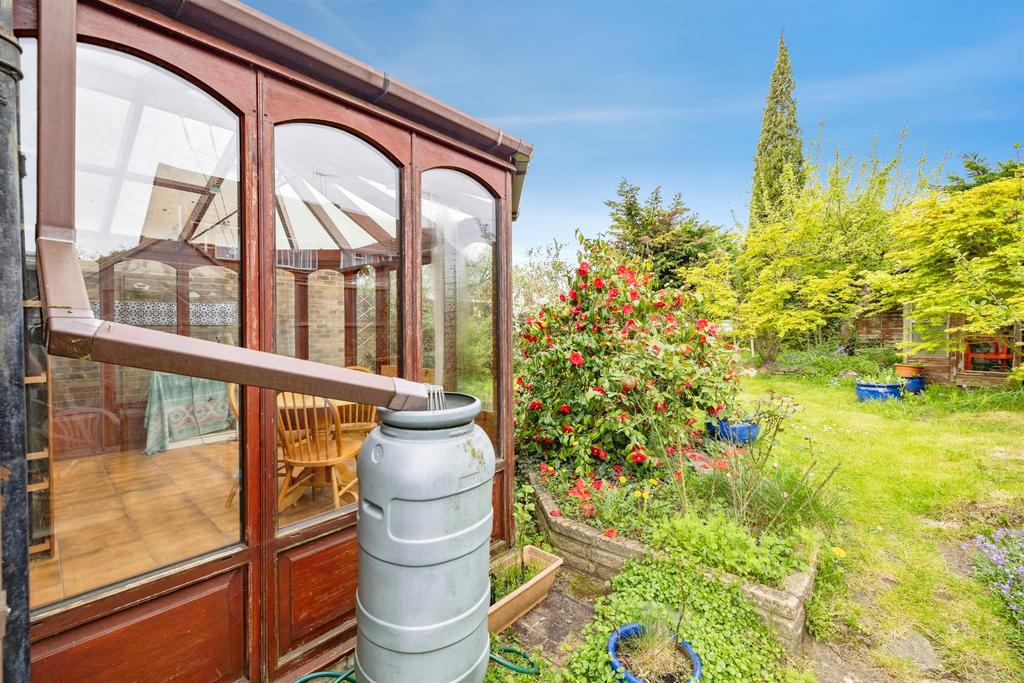Conservatory interior, conservatory