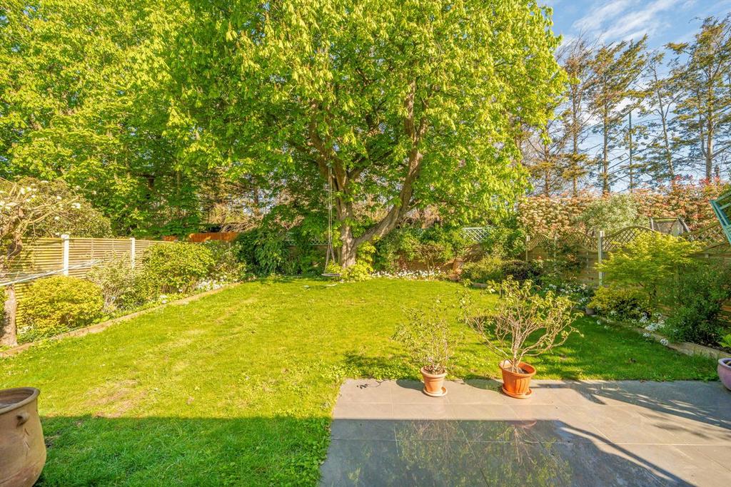 Garden view, garden