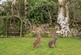 Additional image 41 of Yelverton, Devon