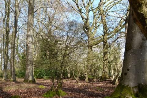 Woodland for sale, Flintlock Wood, nr Andover, Hampshire SP11