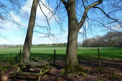 Woodland for sale, Flintlock Wood, nr Andover, Hampshire SP11