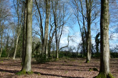 Woodland for sale, Flintlock Wood, nr Andover, Hampshire SP11