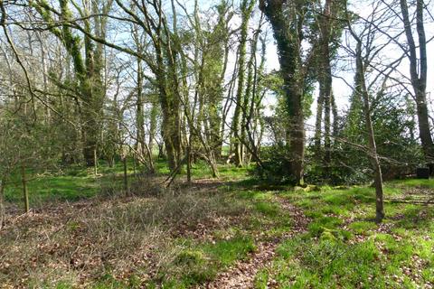 Woodland for sale, Flintlock Wood, nr Andover, Hampshire SP11
