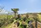 Church Cove, The Lizard photo 2