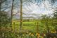 Additional image 28 of Wyaston, Ashbourne