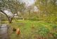 Additional image 30 of Wyaston, Ashbourne