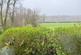 Additional image 11 of Ciliau Aeron, Aberaeron, SA48