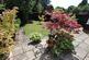 Additional image 2 of Bhylls Crescent, Castlecroft, Wolverhampton, WV3
