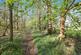 Additional image 18 of Rusper Road, Newdigate, Dorking
