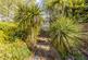 Elmes Road, Bournemouth photo 3