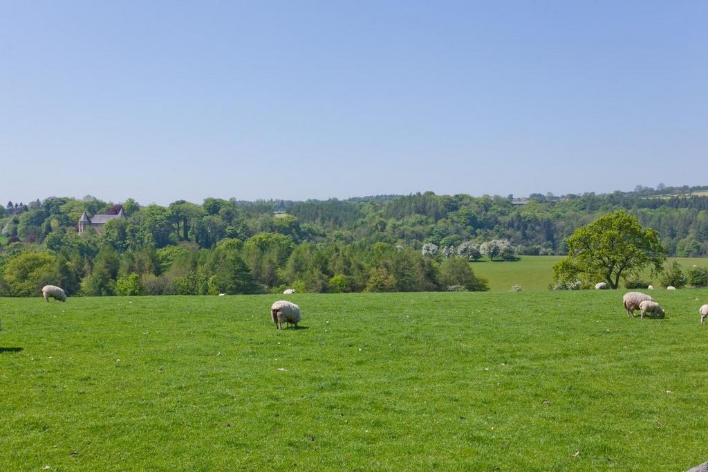 Extensive View (from Lot 1)