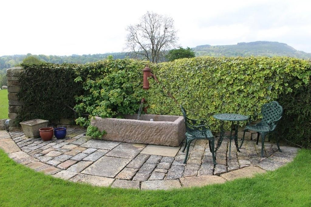 Corner Front Lawn Feature (Lot 1)