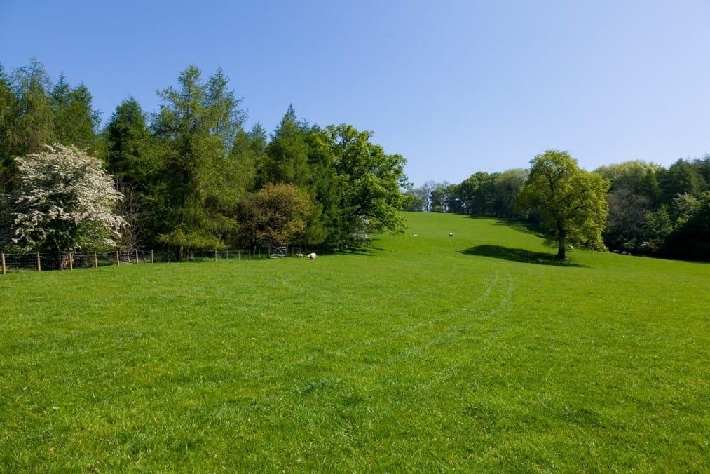 Field Between Woods (Lot 1)