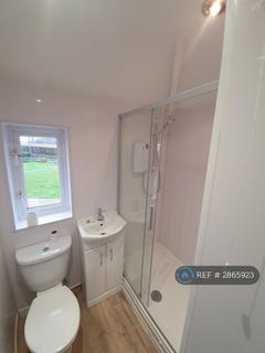 4 bedroom semi-detached house to rent, Norwich Road, Pulham St. Mary, Diss, IP21