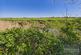 Additional image 24 of Sea Road, Winchelsea Beach