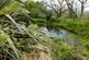 Additional image 51 of Penbontbren, Login, Whitland, SA34