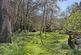 Additional image 6 of Killiow, Kea, Nr. Truro, Cornwall