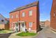 Allen Aldridge Grove, Stanway