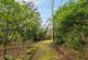 Additional image 27 of Laggary Park, Rhu, G84