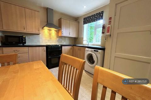 4 bedroom semi-detached house to rent, Wycliffe Road, Norwich, NR4