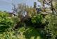 Additional image 13 of Ravenscourt Road, London W6