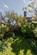 Additional image 14 of Ravenscourt Road, London W6