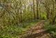 Additional image 34 of Argos Hill, Mayfield