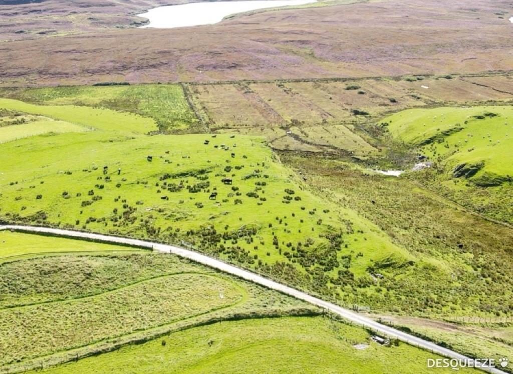 Aerial view, land