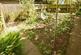 Additional image 6 of Stowe Place, Coventry CV4