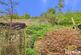 Additional image 23 of Mill Beck Lane, Cottingham HU16