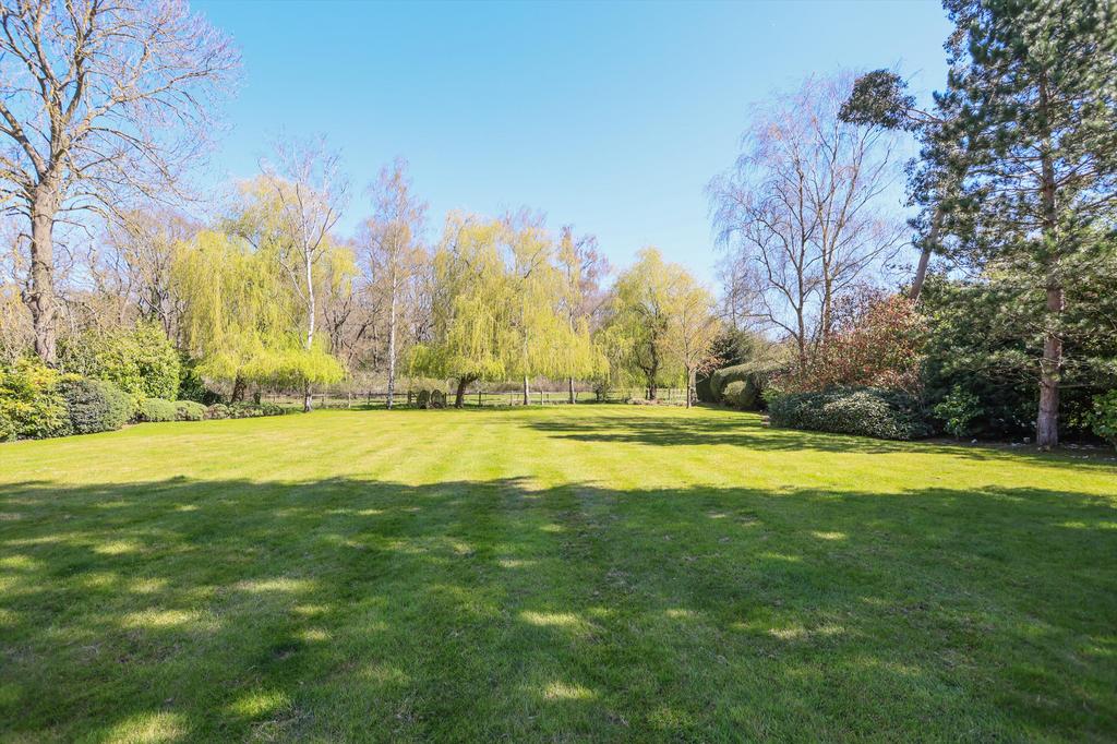 Garden view, garden