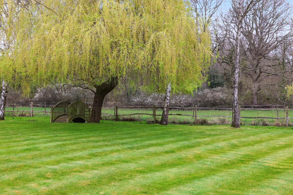 Garden view, garden