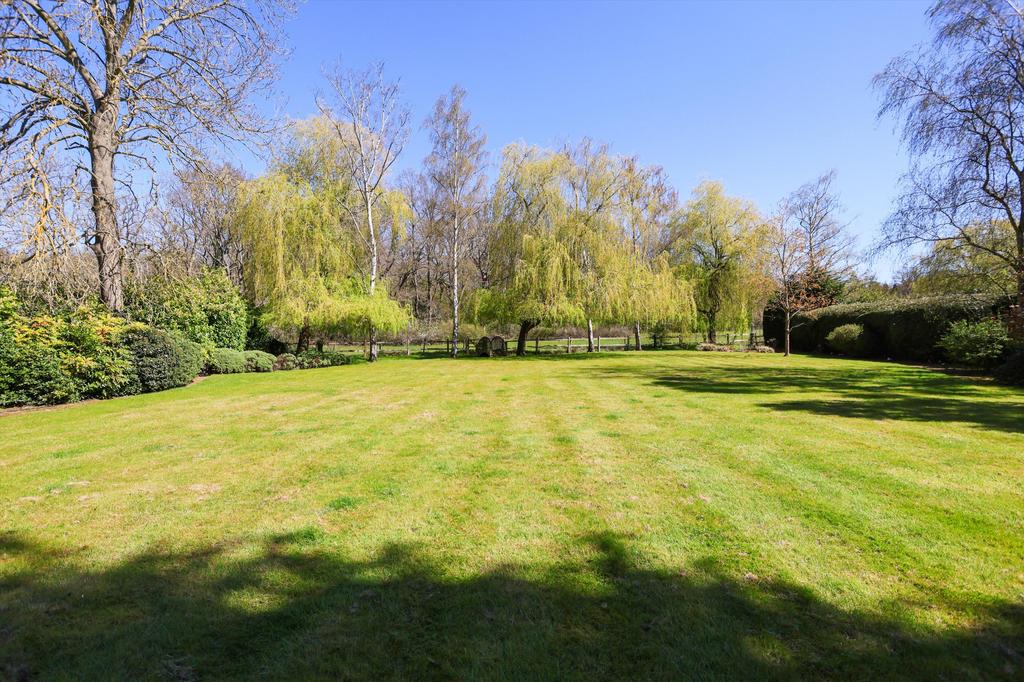 Garden view, garden