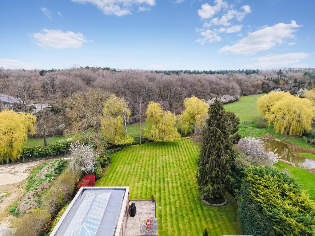 Garden view, garden