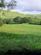 Additional image 4 of Cynghordy, Llandovery SA20
