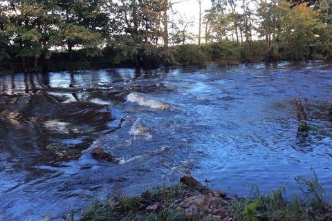 Farms & Land For Sale In Angus | OnTheMarket