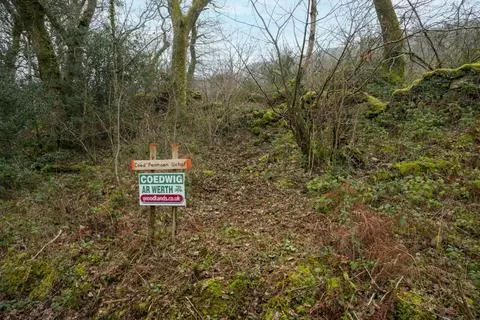 Woodland for sale - View 2