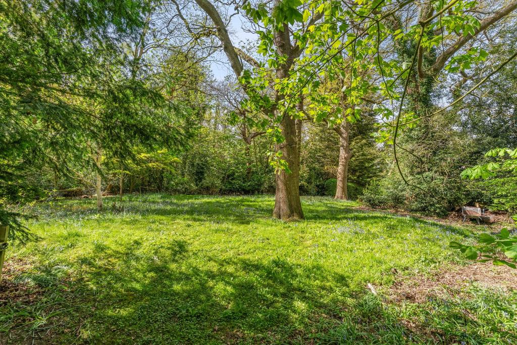 Garden view, garden