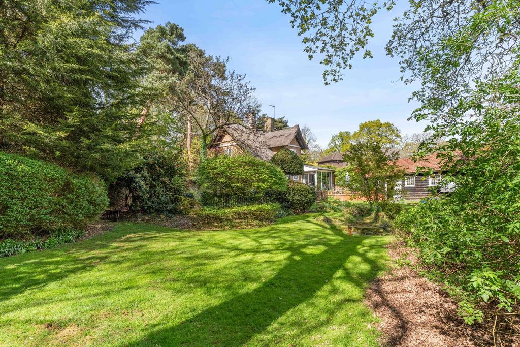 Garden view, garden