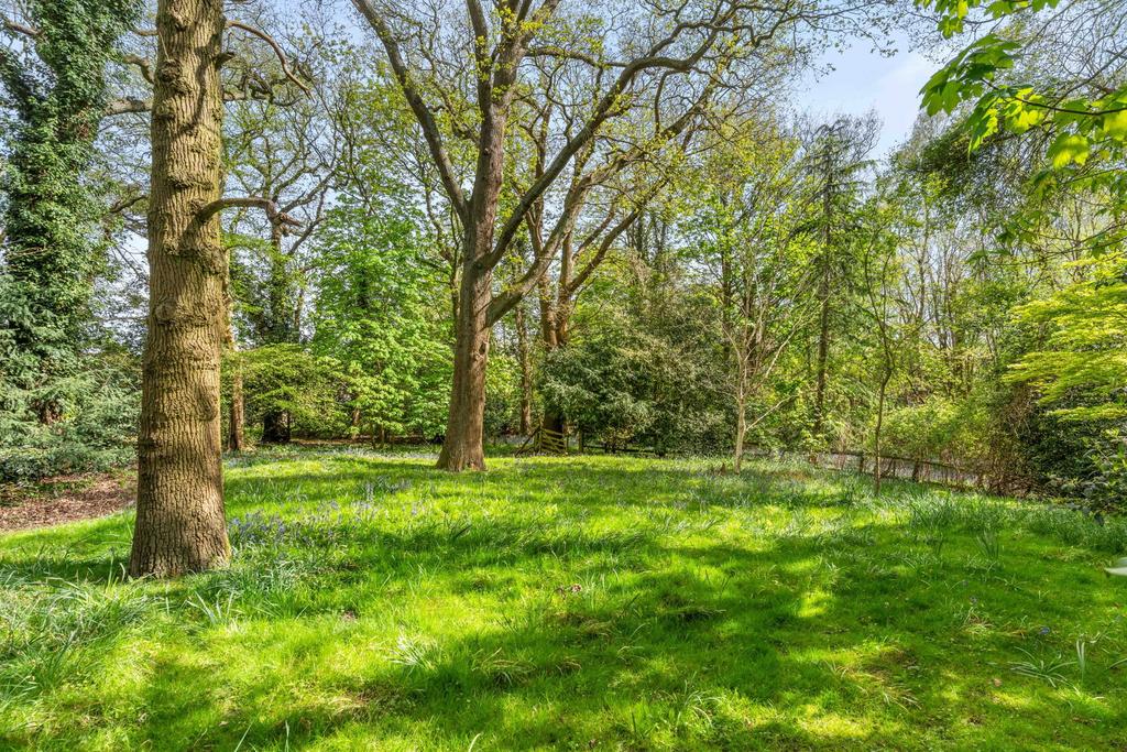 Garden view, garden